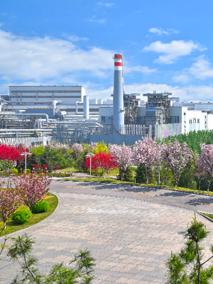 不朽情缘_首页官网入口